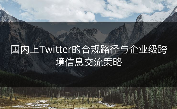 国内上Twitter的合规路径与企业级跨境信息交流策略