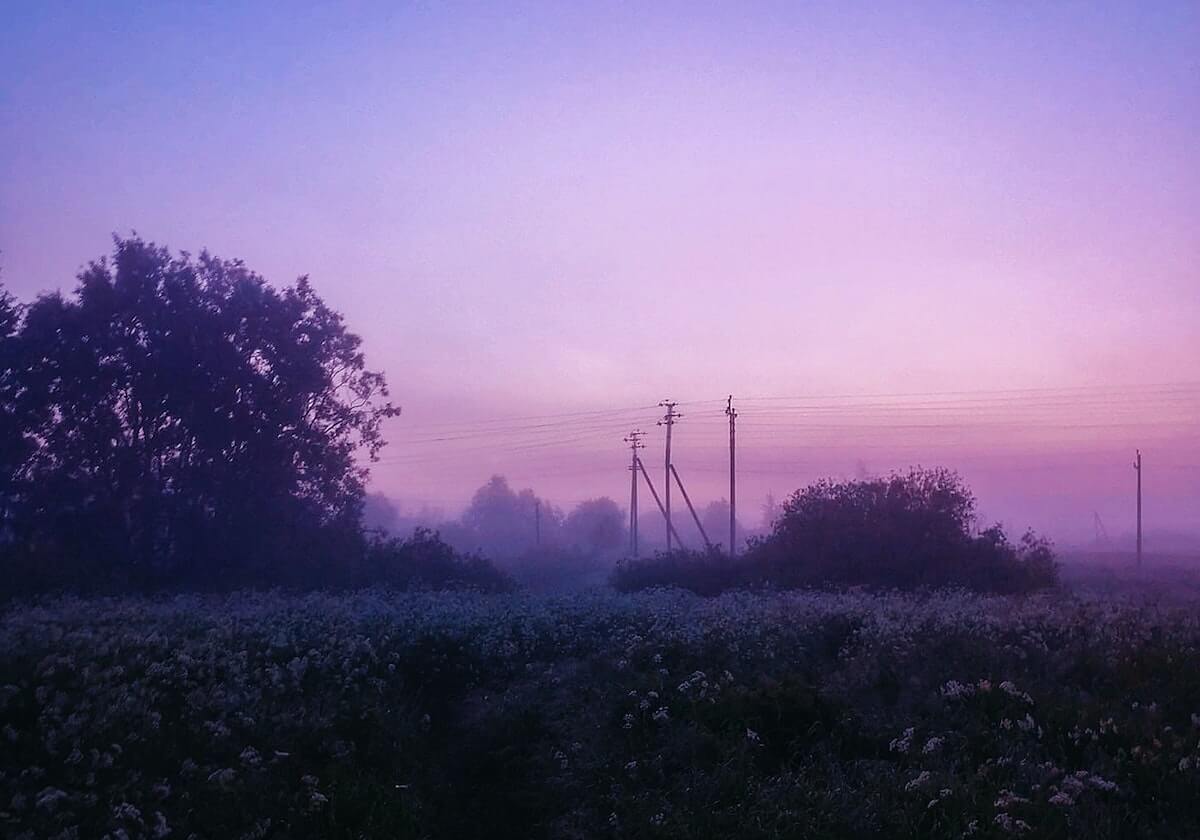 暖暖在线观看免费视频播放:在家的温度与自由选择