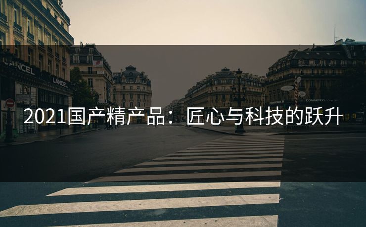 2021国产精产品:匠心与科技的跃升